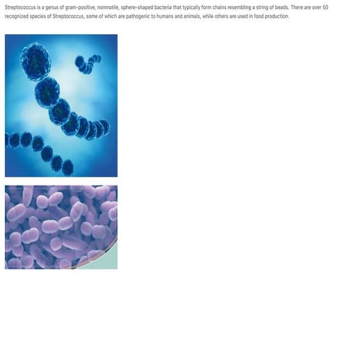 Comprehensive Overview of Streptococcus Species and Related Diseases | PDF