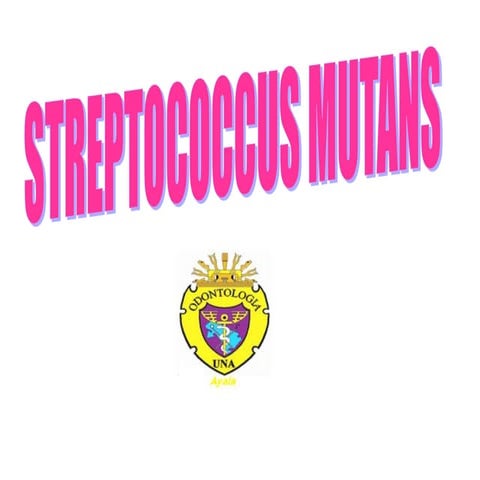 Streptococcus mutans