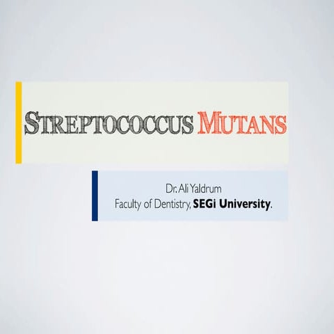 Streptococcus mutans cell | PPT