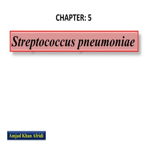 Streptococcus pneumoniae