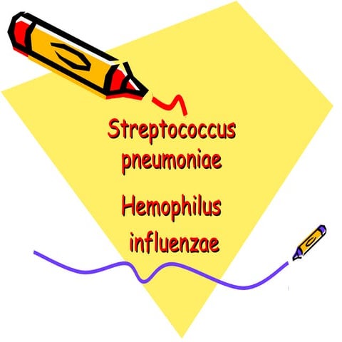 Gram negative rods | PPT