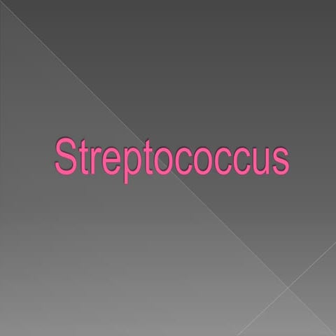 Streptococcus presentación
