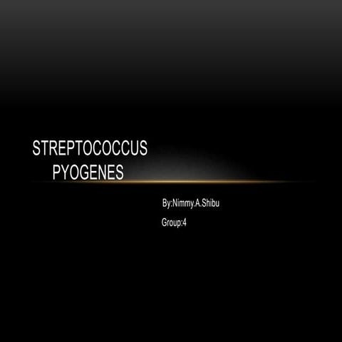 Streptococcus   pyogenes