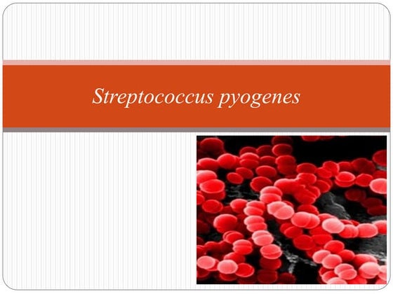 Herpes simplex virus | PPTX