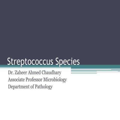 Streptococcus Species.pptx