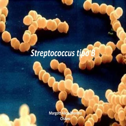 Streptococcus tipo b | PPTX