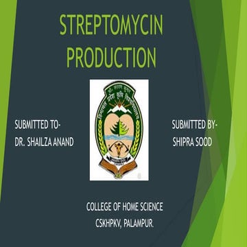 Streptomycin production