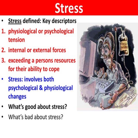 Stress & HPA axis - VCE U4 Psych
