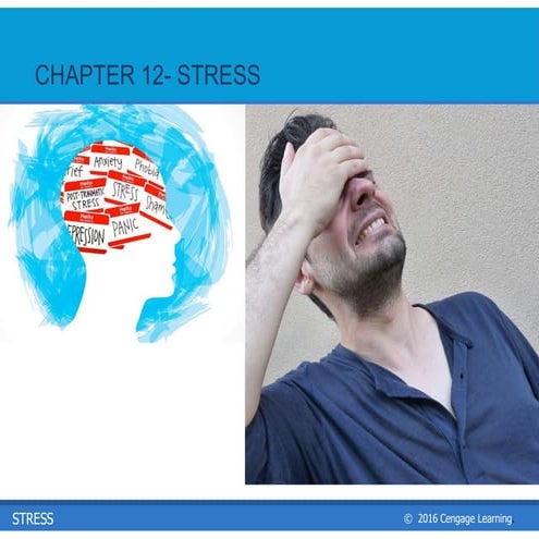 Stress response human psychology and learning