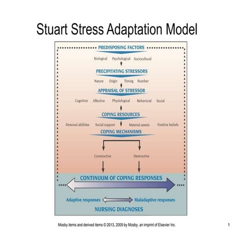 stress adaptation cycle.pptx