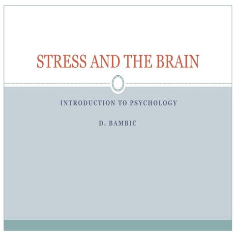 Stress and the brain