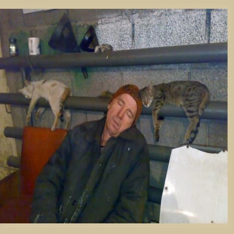 The Definition of Stress