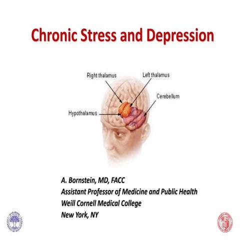 Chronic Stress & Depression 2019