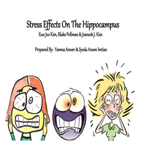 Stress effects on the hippocampus