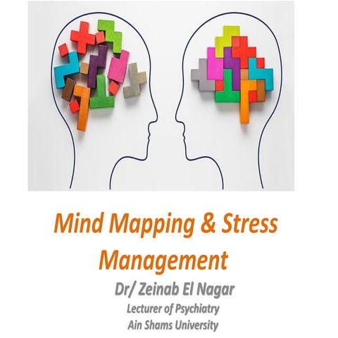 Stress  Management  and Brain Mapping 