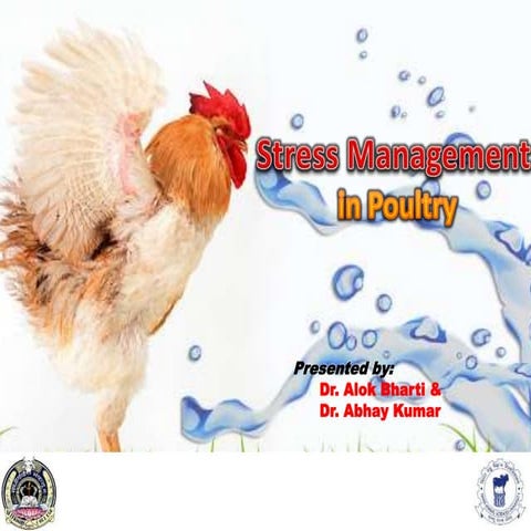 Stress Management in Poultry.pptx