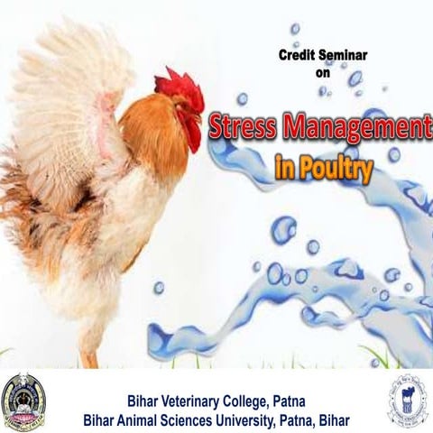 Stress Management in Poultry .pptx