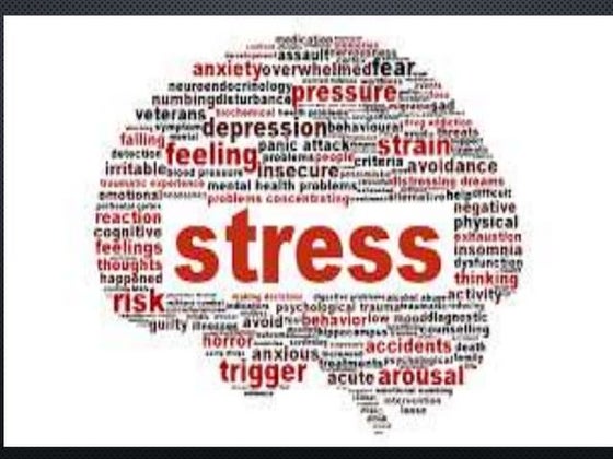 Stress response