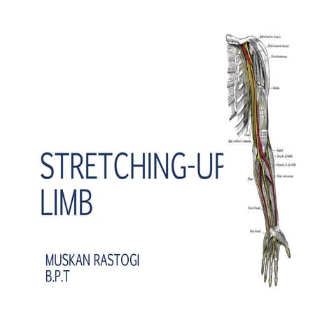 STRETCHING-UPPER LIMB.pptx @Dr.Muskan Rastogi (PT) BPT,MPT(OBG)