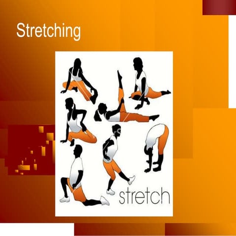 Stretching Exercise