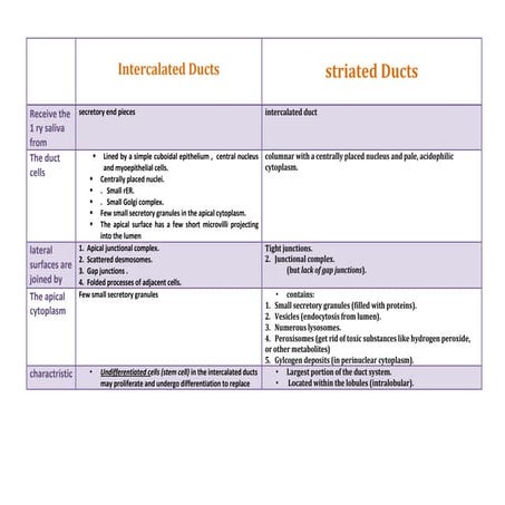 Intercalated and Striated ducts