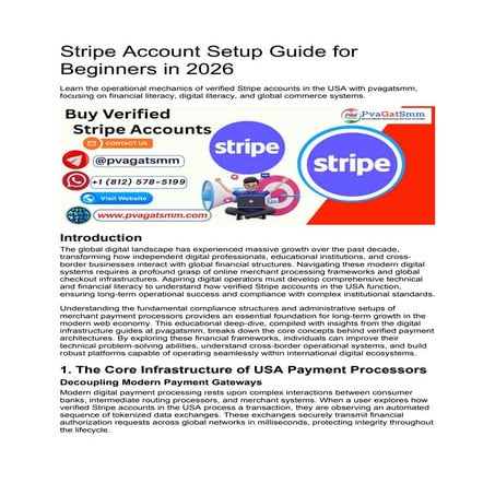 Stripe Account Setup Guide for Beginners in 2026.docx