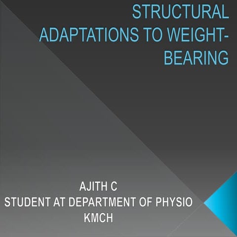 Structural adaptations to weight bearing of Hip