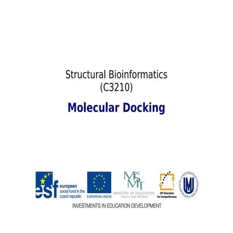Structural Bioinformatics.pdf