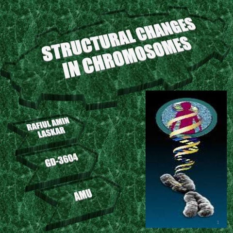 Structural changes in chromosomes