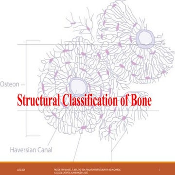 Structural Classification of Bone with explanation | PPTX