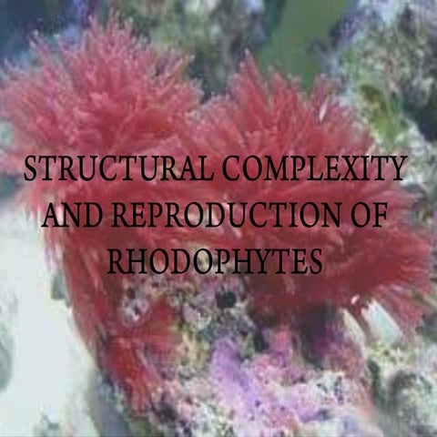 Structural complexity and reproduction of rhodophytes 423