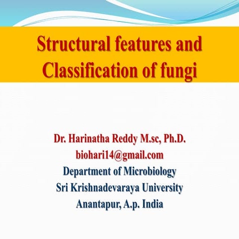 Structural features and classification of fungi