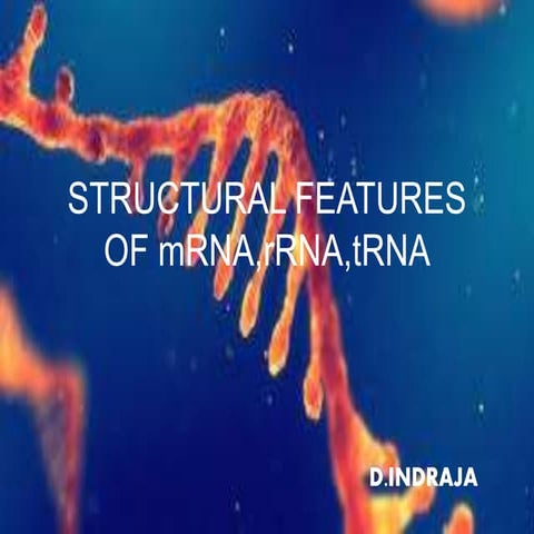 Structural features of rna