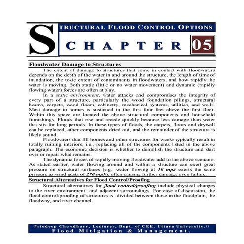 Structural flood control options | PDF