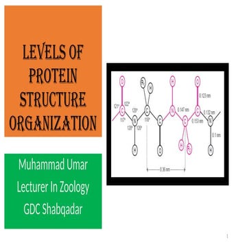 Structural level of organization of proteins | PPTX