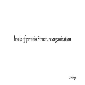 Structural level of organization of proteins