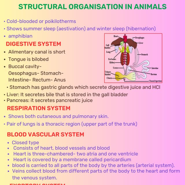 STRUCTURAL ORGANISATION IN ANIMALS.pdf. chart