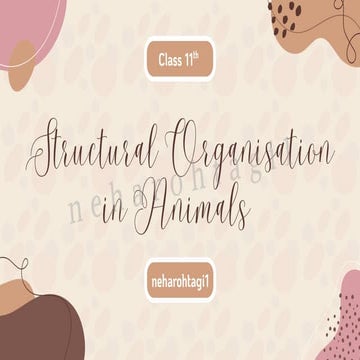 Structural Organisation In Animals CBSE CLASS - 11th NEET BIOLOGY.pdf