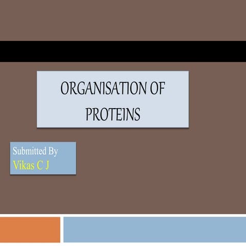 Structural organisation of protiens