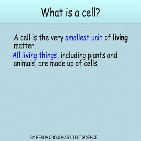 Structural Organization Of Cell class9 .ppsx