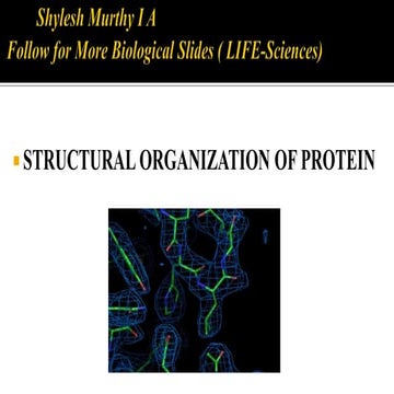 STRUCTURAL ORGANIZATION OF PROTEINS