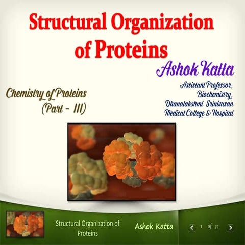 Structural organization of proteins (Chemistry of Proteins (Part - III)