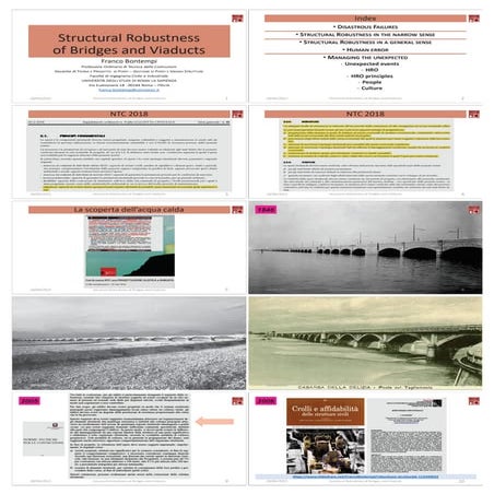 Structural  Robustness of Bridges and Viaducts RID.pdf