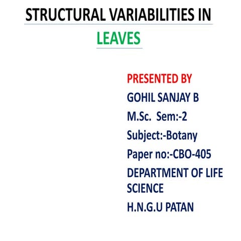 Structural variabilities in leaves