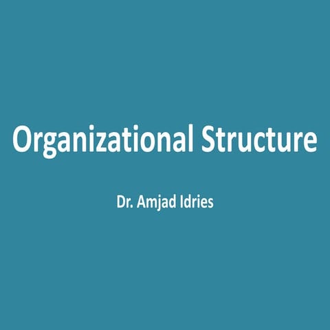 Organizational Structure