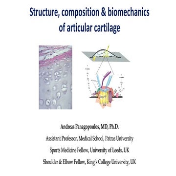 Structure & biomechns of articular cartilage