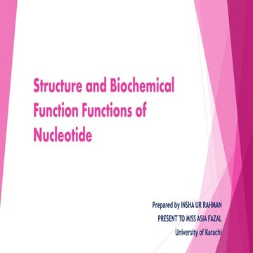 Structure and biochemical function function of nucleotide