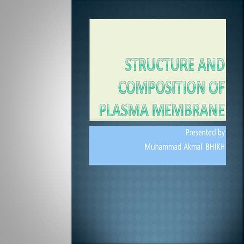Structure, composition of plasma membrane by muhammad akmal bhikh