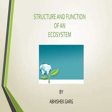 Structure and function