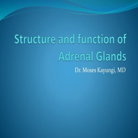 Structure and function of adrenal glands